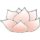 LOTUS, PRAKTIJK VOOR MASSAGETHERAPIE EN HEALING