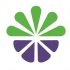 DONKER GROEN AMSTERDAM