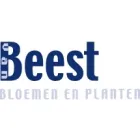 VAN BEEST SCHOTHORST